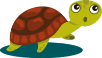 turtle